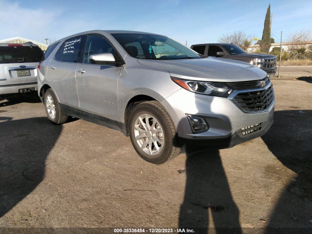 2019 2GNAXTEV3K6217436 главное изображение