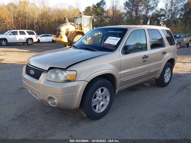 2007 FORD ESCAPE XLT/XLT SPORT VIN: 1FMYU03177KB34641
