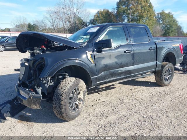 1FTEW1E82NFB93135 Ford F-150 Tremor
