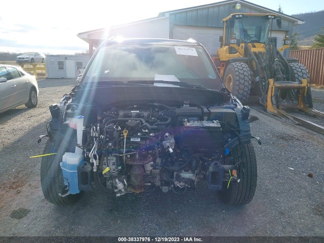 2023 KIA TELLURIDE SX VIN: 5XYP5DGC7PG341763