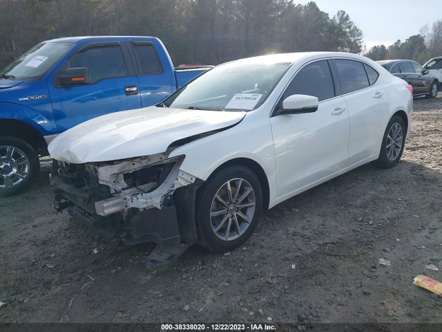 19UUB1F33JA009209 Acura TLX