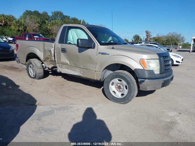 2009 FORD F-150 STX/XL/XLT VIN: 1FTRF12W89KC73685