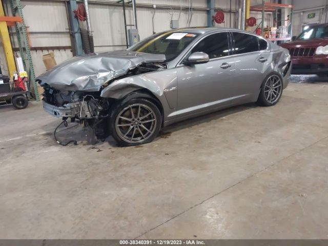SAJXJ0FF0F8U48256 Jaguar XF