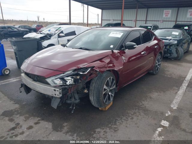 1N4AA6AP6JC370567 Nissan Maxima 3.5 Sv