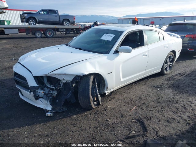 Dodge Charger 2014 2C3CDXDT8EH364771 Image 14