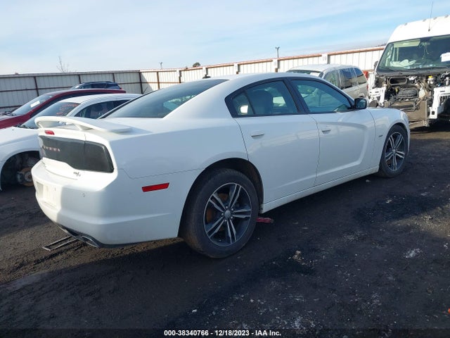 Dodge Charger 2014 2C3CDXDT8EH364771 Image 16