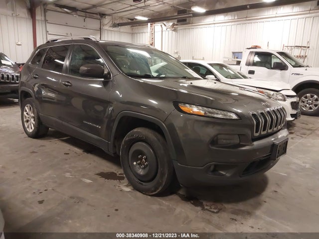 2016 1C4PJMCS2GW255515 main image