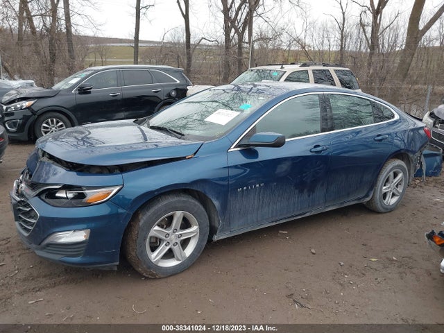 Chevrolet Malibu 1fl 2019 1G1ZC5ST5KF138841 Image 15