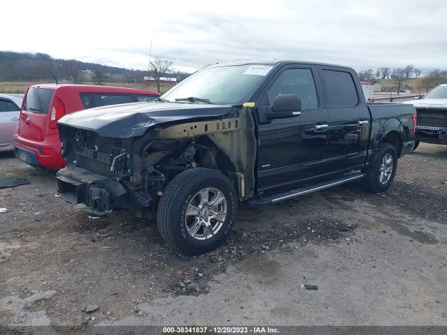 2016 FORD F-150 XLT VIN: 1FTEW1EP0GKF39698