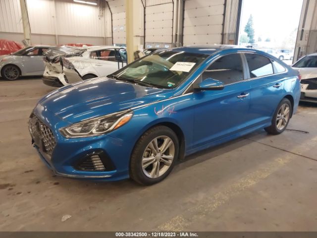5NPE34AF4KH781828 Hyundai SONATA SEL