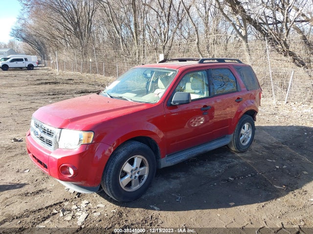 2011 FORD ESCAPE XLT VIN: 1FMCU0D71BKB53918