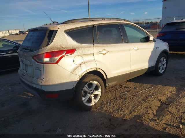 Ford ESCAPE SE 2014 1FMCU0GX1EUB22205 Image 4
