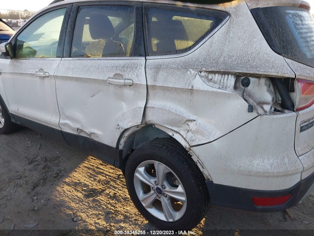 Ford ESCAPE SE 2014 1FMCU0GX1EUB22205 Image 6