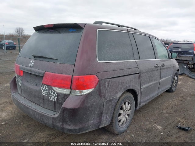 2010 HONDA ODYSSEY EX-L VIN: 5FNRL3H75AB080514