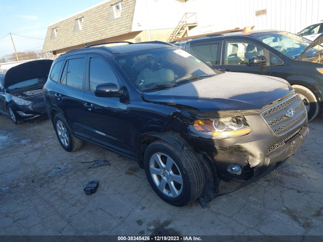2009 HYUNDAI SANTA FE SE VIN: 5NMSH13E89H316581