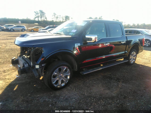 2021 FORD F-150 PLATINUM VIN: 1FTFW1E84MFB23302