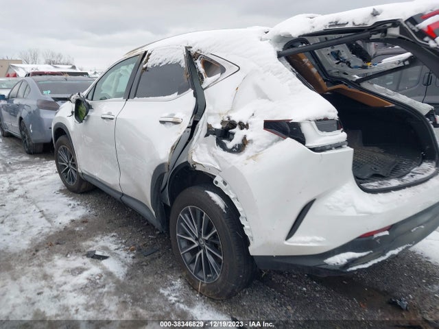 2022 LEXUS NX 350 VIN: 2T2AGCEZXNC003666