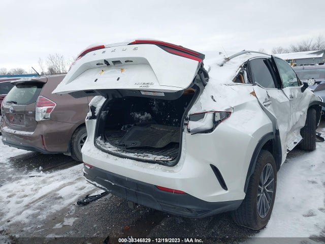 2022 LEXUS NX 350 VIN: 2T2AGCEZXNC003666