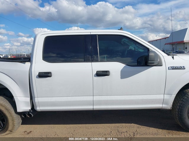 Ford F-150 Xlt 2019 1FTEW1E59KKC40430 Image 14