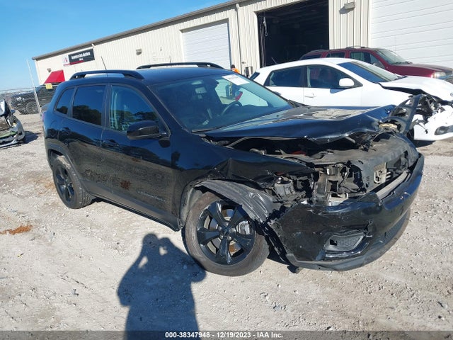 2019 JEEP CHEROKEE ALTITUDE FWD VIN: 1C4PJLLBXKD296649