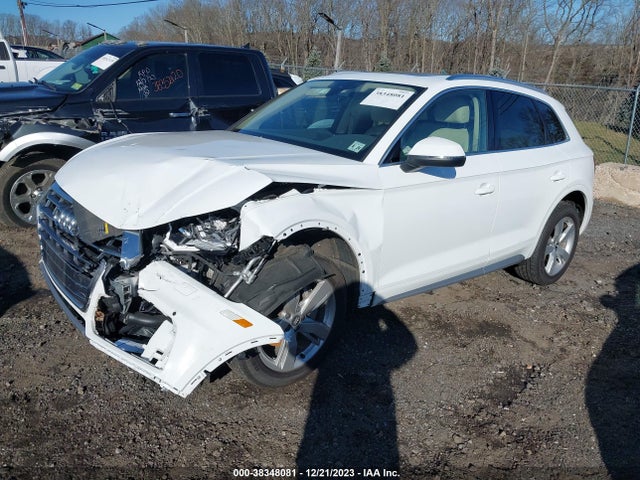 WA1BNAFY3K2124195 Audi Q5 45 Premium