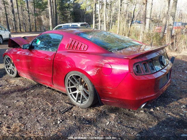 Ford MUSTANG GT 2014 1ZVBP8CF4E5308945 Image 3