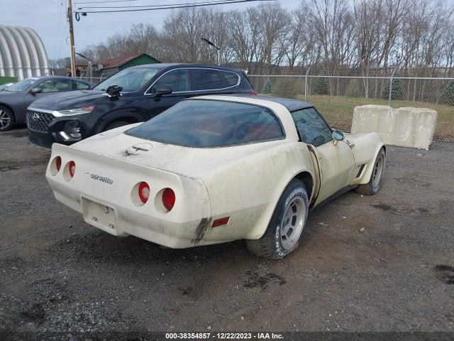 1981 CHEVROLET CORVETTE VIN: 1G1AY8763BS411365