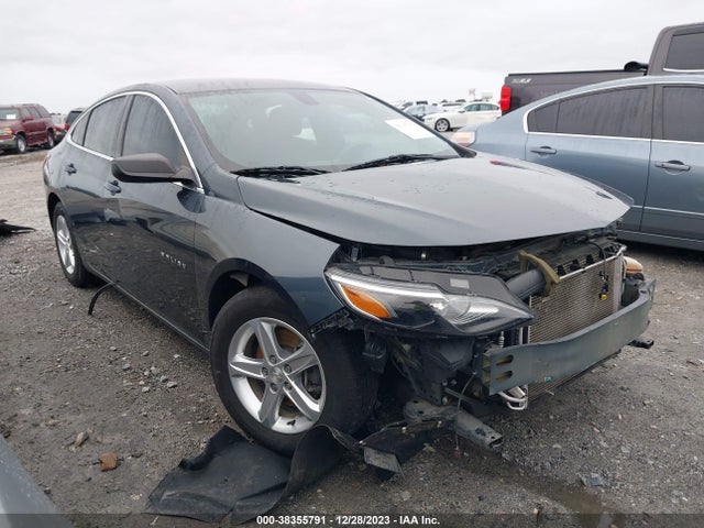 2019 1G1ZB5ST2KF177146 main image