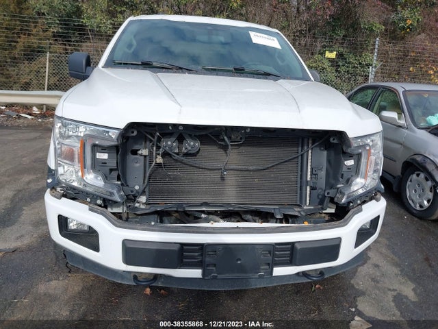 2019 FORD F-150 XL VIN: 1FTEW1E53KFA54262