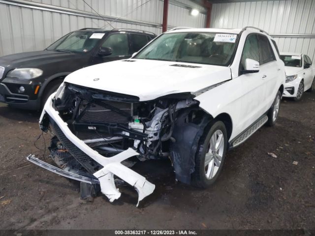 4JGDA5JB8FA462400 Mercedes-Benz ML 350