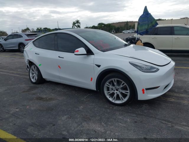 2021 TESLA MODEL Y 5YJYGDEE1MF082502