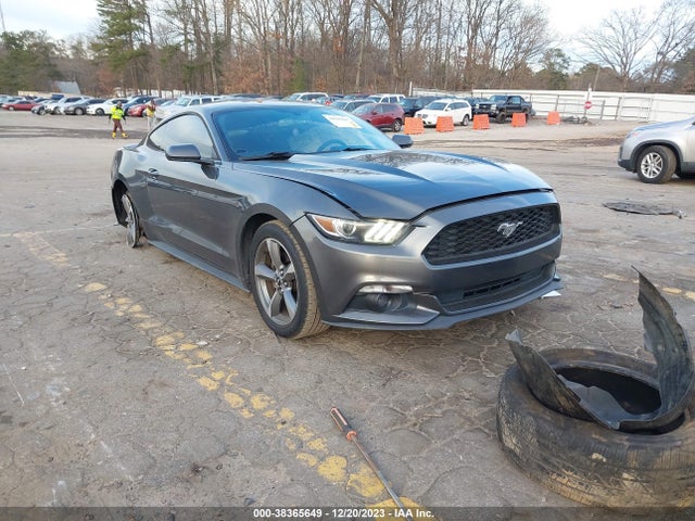 2016 1FA6P8AM5G5307818 main image