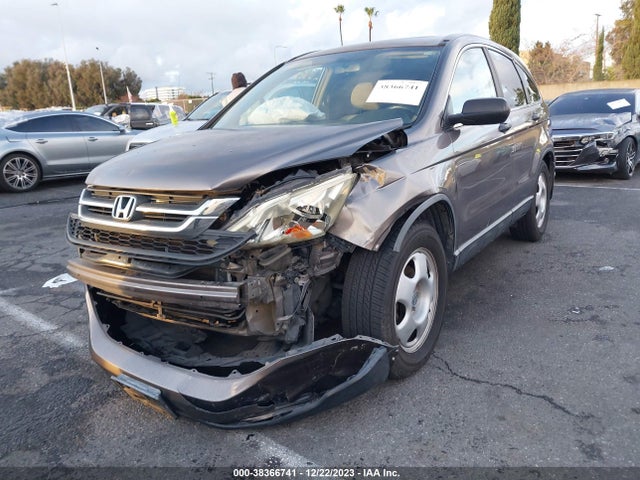 2010 HONDA CR-V LX VIN: 5J6RE3H31AL040705