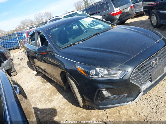 Hyundai SONATA SE 2019 5NPE24AF7KH764069 Image 1