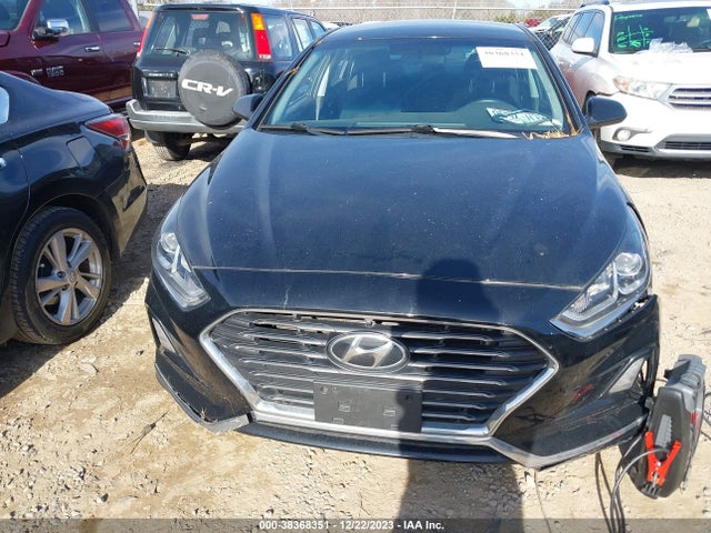 Hyundai SONATA SE 2019 5NPE24AF7KH764069 Image 12