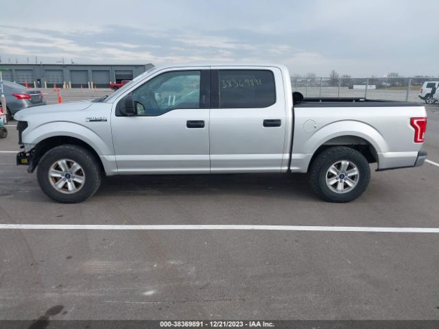 1FTEW1C80FFC22796 Ford F-150 Xlt