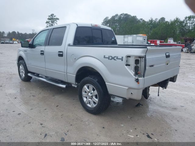 2013 FORD F-150 1FTFW1ET5DKE00602 Photo 2