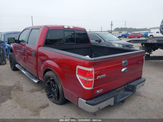 1FTFW1CT7EKE88850 Ford F-150 Xlt