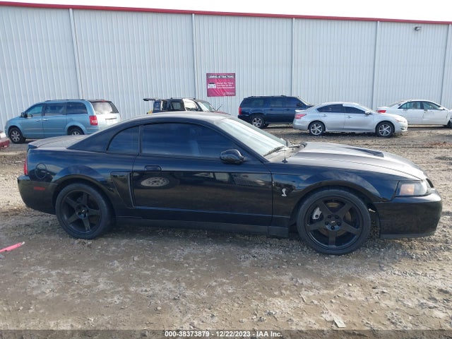 2003 FORD MUSTANG 10TH ANNIVERSARY PACKAGE/COBRA VIN: 1FAFP48Y53F311602