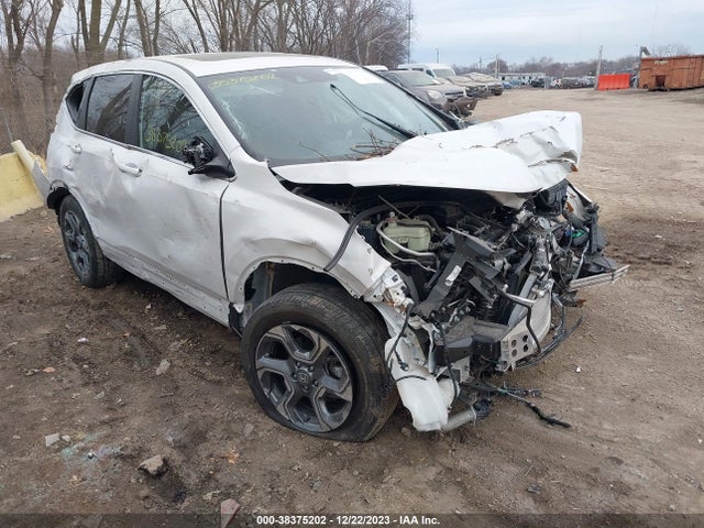 2019 5J6RW2H5XKL017532 main image