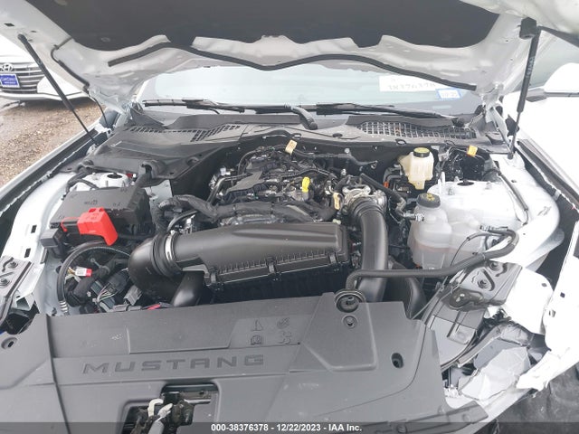 Ford Mustang Ecoboost Premium Fastback 2024 1FA6P8TH4R5109072 Image 10