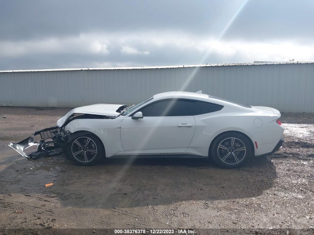 Ford Mustang Ecoboost Premium Fastback 2024 1FA6P8TH4R5109072 Image 14