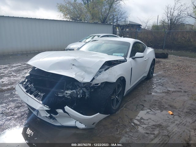 Ford Mustang Ecoboost Premium Fastback 2024 1FA6P8TH4R5109072 Image 2