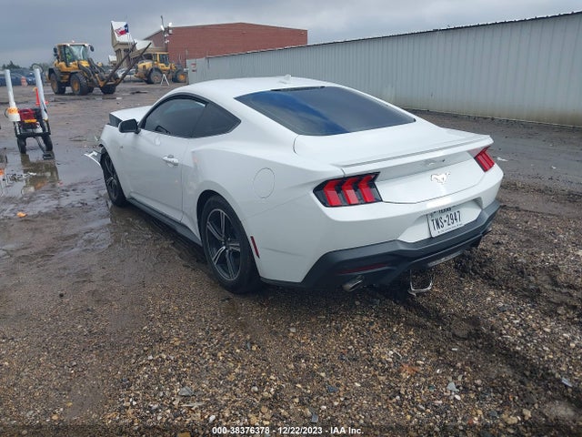 Ford Mustang Ecoboost Premium Fastback 2024 1FA6P8TH4R5109072 Image 3
