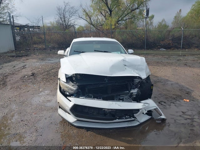 Ford Mustang Ecoboost Premium Fastback 2024 1FA6P8TH4R5109072 Image 6