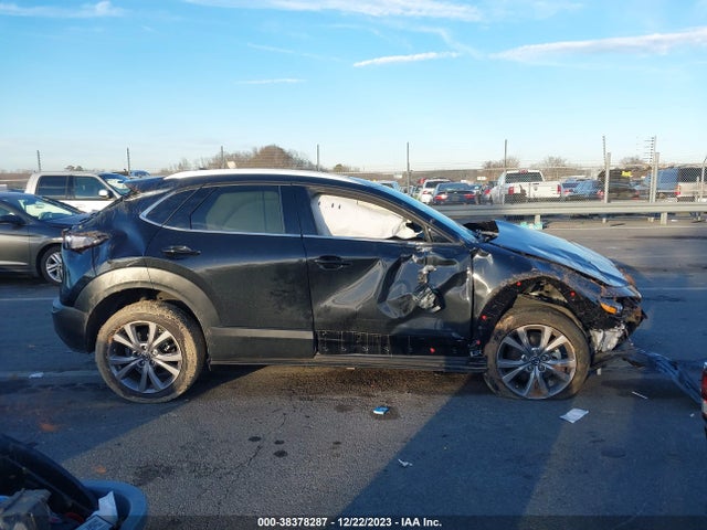 2021 MAZDA CX-30 PREMIUM VIN: 3MVDMADL0MM318749