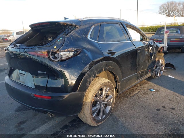 2021 MAZDA CX-30 PREMIUM VIN: 3MVDMADL0MM318749