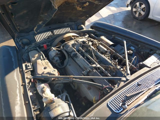 1985 JAGUAR XJ6 SAJAV1348FC414792 Photo 9