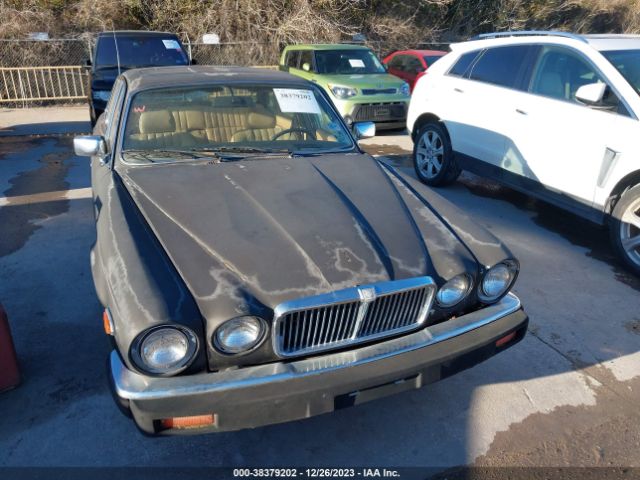 1985 JAGUAR XJ6 SAJAV1348FC414792 Photo 5
