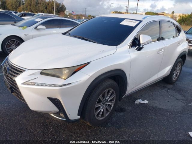 JTJYARBZ4K2155977 Lexus NX 300